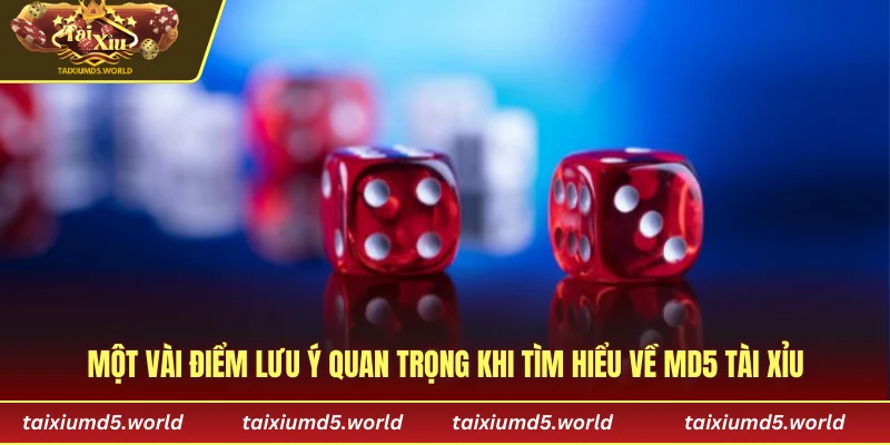 Một vài điểm lưu ý quan trọng khi tìm hiểu về MD5 tài xỉu